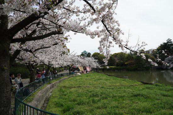 名城公園